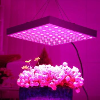 225 LED lámpa / panel a növényekhez kép