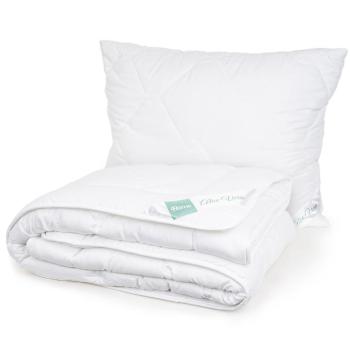 4Home Aloe Premium paplan és párnák szett, 140 x 200 cm, 70 x 90 cm, 140 x 200 cm, 70 x 90 cm kép