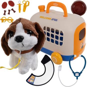 Állatorvosi szett hordozóval kép