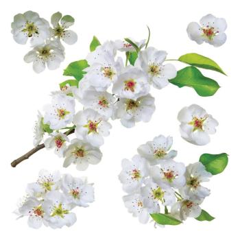 Apple blossom öntapadó dekoráció, 30 x 30 cm kép