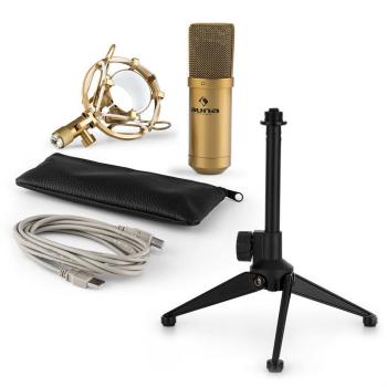 Auna auna MIC-900G V1 USB mikrofon szett, arany kondenz&aacute;tor mikrofon | asztali &aacute;llv&aacute;ny kép
