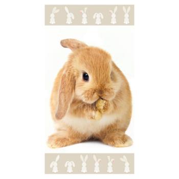 Bunny brown strandtörölköző, 70 x 140 cm kép