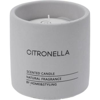 Citronella rovarriasztó gyertya betonedényben, 10 x 10 cm kép