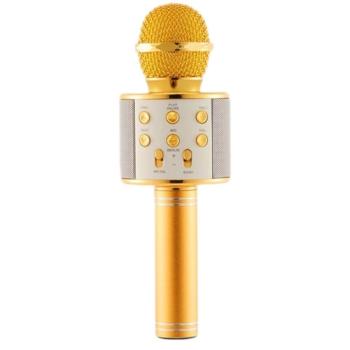 Karaoke mikrofon, hangszóróval, szabályzókkal kép