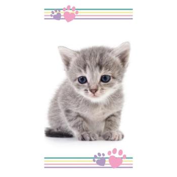 Kitten colour strandtörölköző, 70 x 140 cm kép