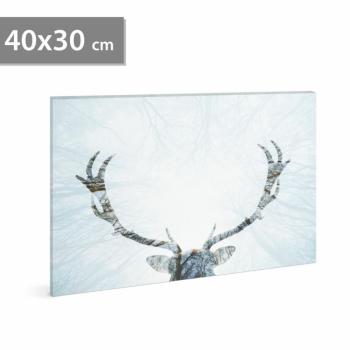 LED-es fali hangulatkép - rénszarvas (2 x AA, 40 x 30 cm) kép