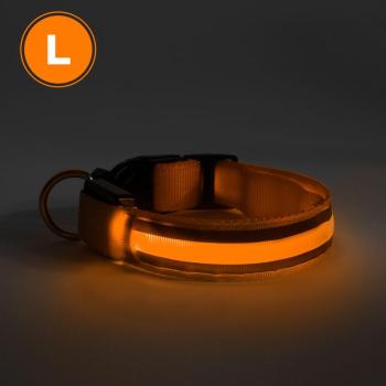 LED-es nyakörv - akkumulátoros - L méret - narancs kép