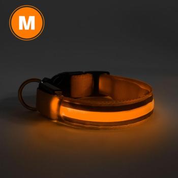 LED-es nyakörv - akkumulátoros - M méret - narancs kép