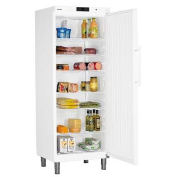 Liebherr GKv 6410 egyajtós ipari hűtőszekrény  kép