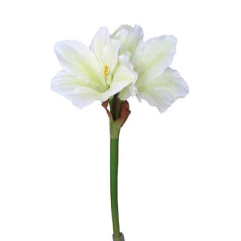 Mű Amaryllis fehér - zöld, 52 cm kép