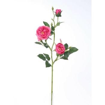 Mű angol rózsa, rózsaszín, 69 cm kép