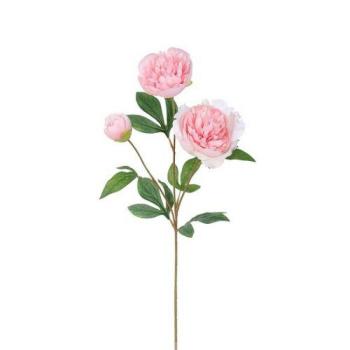 Mű bazsarózsa, 67 cm, világos rózsaszín kép