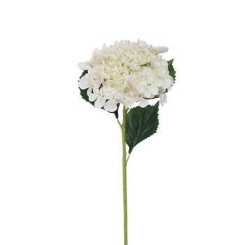 Mű hortenzia, magassága: 52 cm, fehér kép