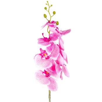 Mű orchidea, sötétrózsaszín, 86 cm kép