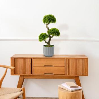 Műnövény dekoráció - bonsai - 55 x 27 cm kép