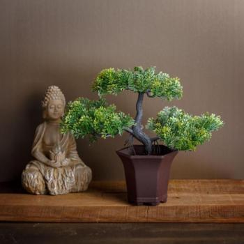 Műnövény dekoráció - bonsai fa - 25 x 9 cm kép