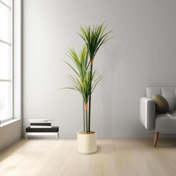 Műnövény dekoráció - Dracaena Marginata - zöld - 1,2 m kép