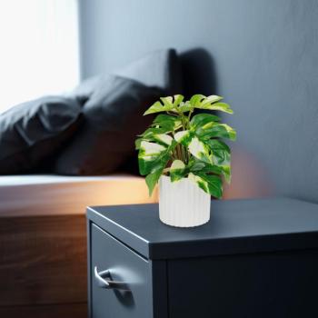 Műnövény dekoráció - filodendron - zöld/sárga - 20 x 8 cm kép