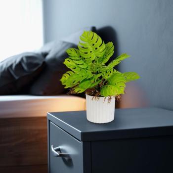 Műnövény dekoráció - monstera - 22 x 8,5 cm kép