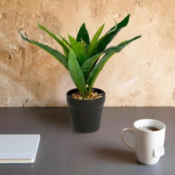 Műnövény dekoráció - zöld sáfrányfa - 20 x 8,5 cm kép