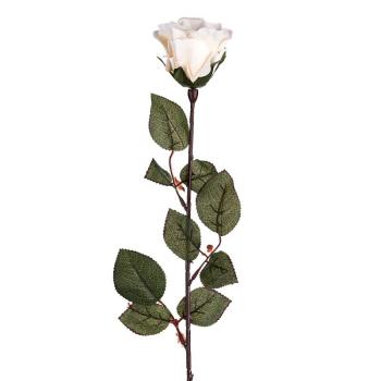 Művirág - Nagyvirágú rózsa, 72 cm, fehér kép