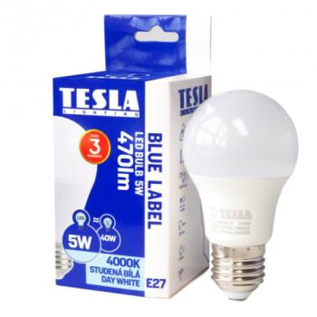 Tesla - LED izzó, E27, 5W, 230V, 470lm, 4000K, 220° kép