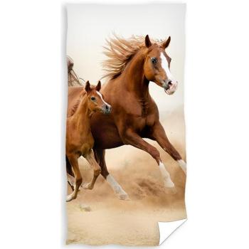 Vörös ló és csikója törölköző, 70 x 140 cm kép
