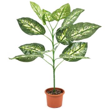 Zöld növények kép