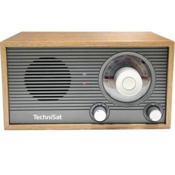 TechniSat FM Classic 205, gray / golden oak kép