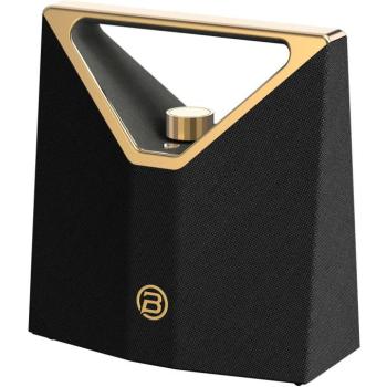 BUGANi Brief Plus Black+Gold