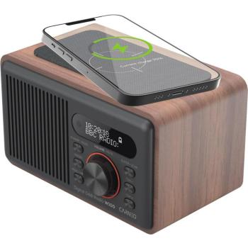 Carneo W100, wood kép