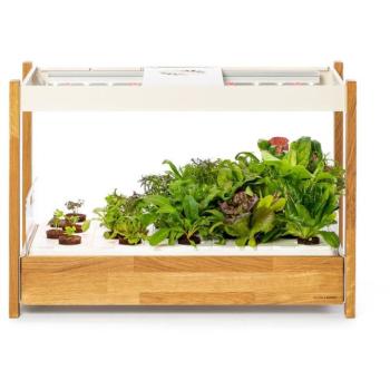 Click and Grow 25, fehér kép