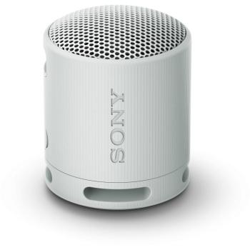 Sony SRS-XB100 - szürke kép