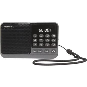 TechniSat Travelradio 310
